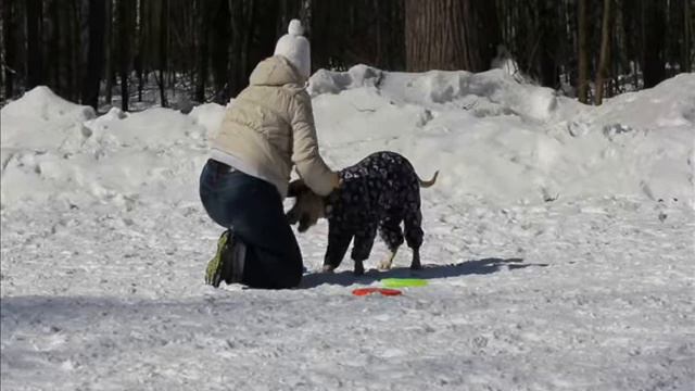 Одри и фрисби фристайл.часть1