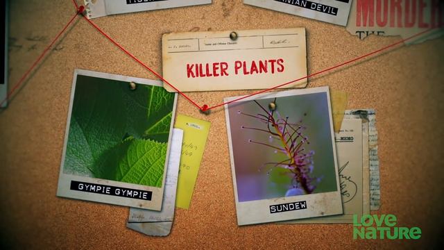 Meat-Eating Plants Straight Out Of Science Fiction