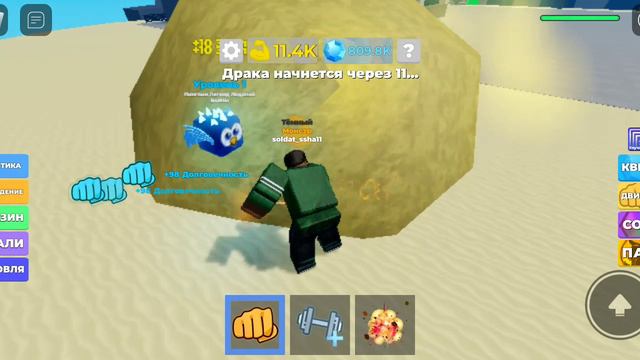баг на питомцев