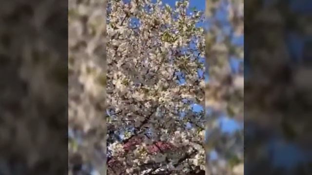 Маленькая страна??????????