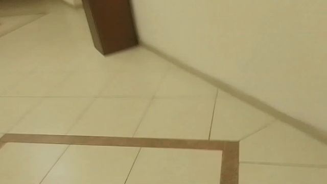 жизненная жиза