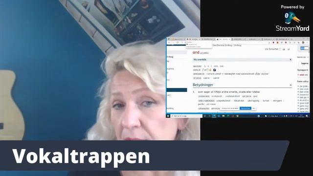 Датский онлайн: что как читать и почему.