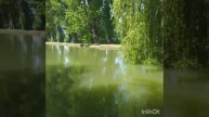 Рыбалка в КБР.Охота на трофейног Карпа.