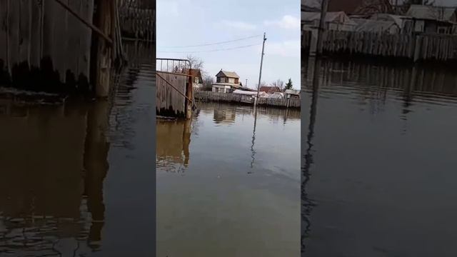 На дачу только на лодке    #наводнение  #курган #михалычдачник #кетово