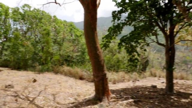 Ghost Behind Barracks at Brimstone Hill Fortress in 4K UltraHD