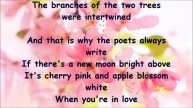 Pat Boone Cherry pink and apple blossom white + lyrics