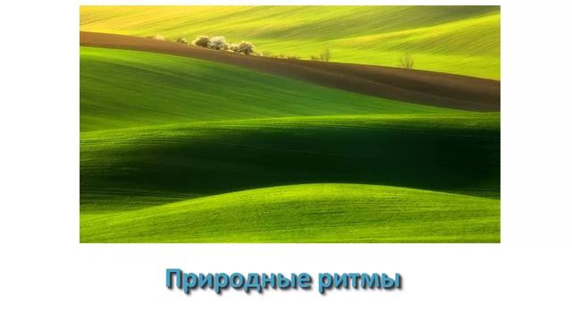 Аюрведа
