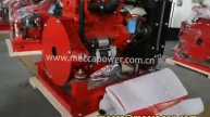 Quanchai Diesel Pump Engine