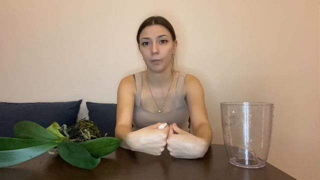 Реанимация орхидеи. НЕОЖИДАННАЯ НАХОДКА