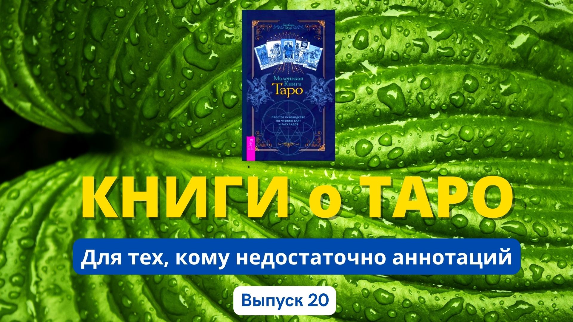 КНИГИ о Таро для начинающих. Выпуск 20