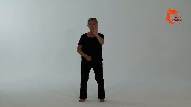 Qigong Dancing - Bear exercises - stability