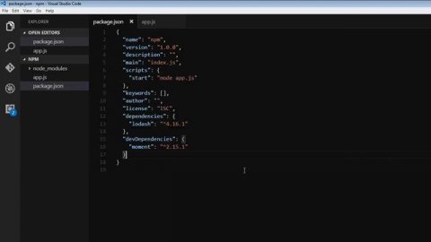 npm Tutorial for Beginners - 16 - npm Scripts