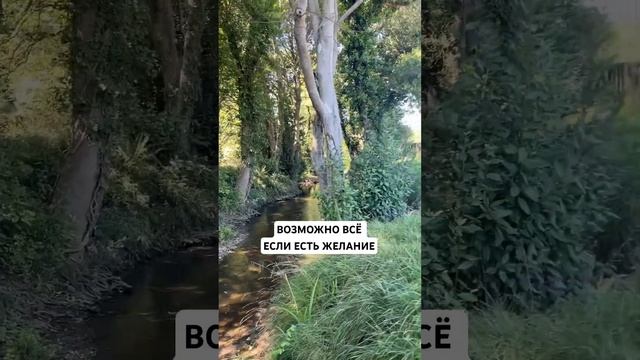 Я не могу бегать у меня дети ? #семья #бег #спорт #дети