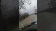 Еду на дачу. Фаустово. КП Москва-река(8)