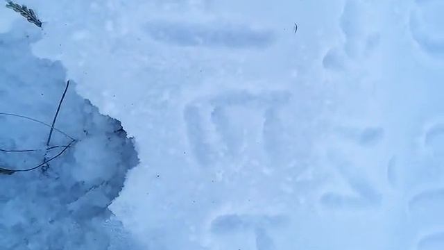 УРА! я ПОПАЛ В СВОЙ  МИР. Я НАШОЛ СВОЙ ДОМ С ПОМОЩЬЮ СНЕГА!
