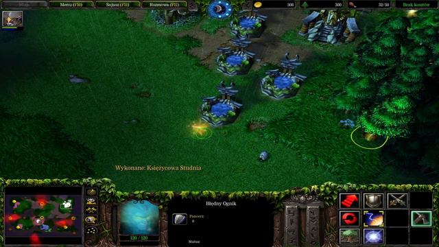 Warcraft III: The Frozen Throne Multiplayer #10 Turniej