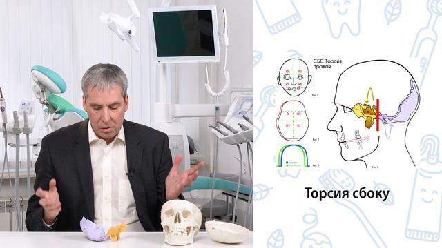 Анатомия зубо-челюстной системы и влияние на асимметрию лица. Часть №5. Стоматолог Мурат Насыров