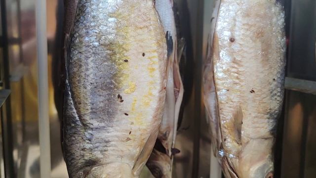 Селедка Долгинская. Селедка малосольная и Селедка холодного копчения. Одно видео, Два рецепта!