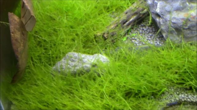 The Lost Stones- 90 Day Update