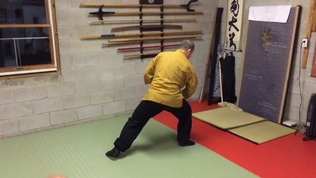 Andrej Jasenc   Bujinkan Seminar   N j  U S A   March 2017   Day 1 Review