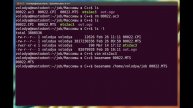 Как автоматизировать работу скриптом bash