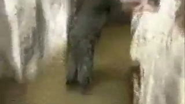 Цин