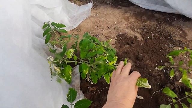 Купила наколенники для прополки счастлива !