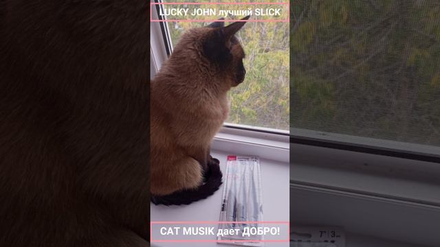 LUCKY JOHN лучший  SLICK знает даже CAT MUSIK