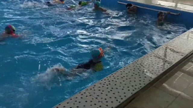 Дети плавают в бассейне  Занятия плаванием с тренером в Ессентуках