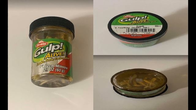 Berkley Gulp! Alive! Trout Bait Smelt Formula Review Does It Work!!!