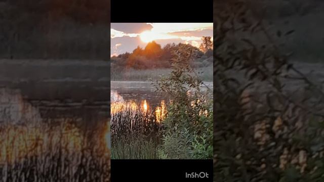 Храм Жизни в Городе Солнца МаЭД Яново. Елна Панкратович, Беларусь. Мир Универсологии