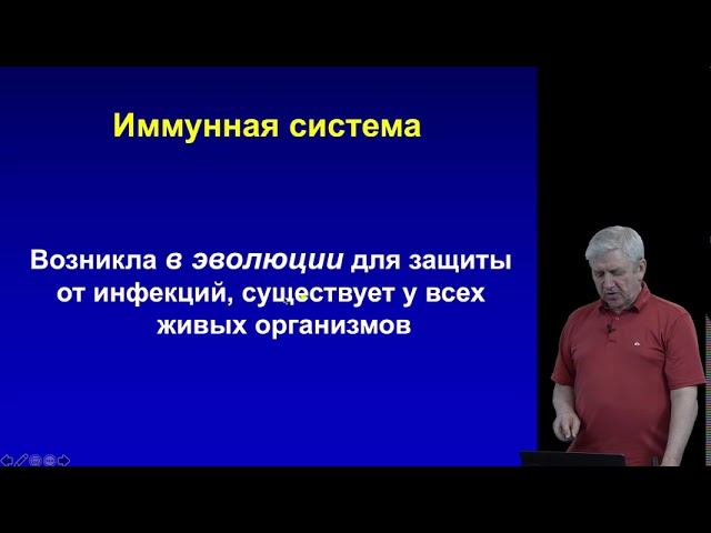 Недоспасов С.А. 1-1 лекция из цикла