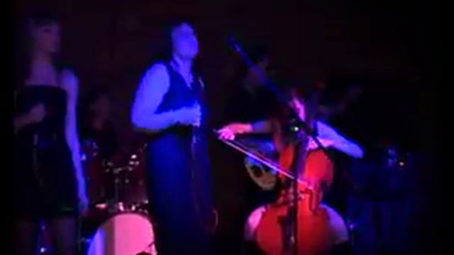 SILPHIDAE - Звезда полынь