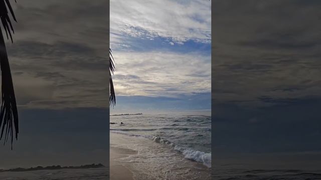 НОВЫЙ ГОД на ШРИ-ЛАНКЕ