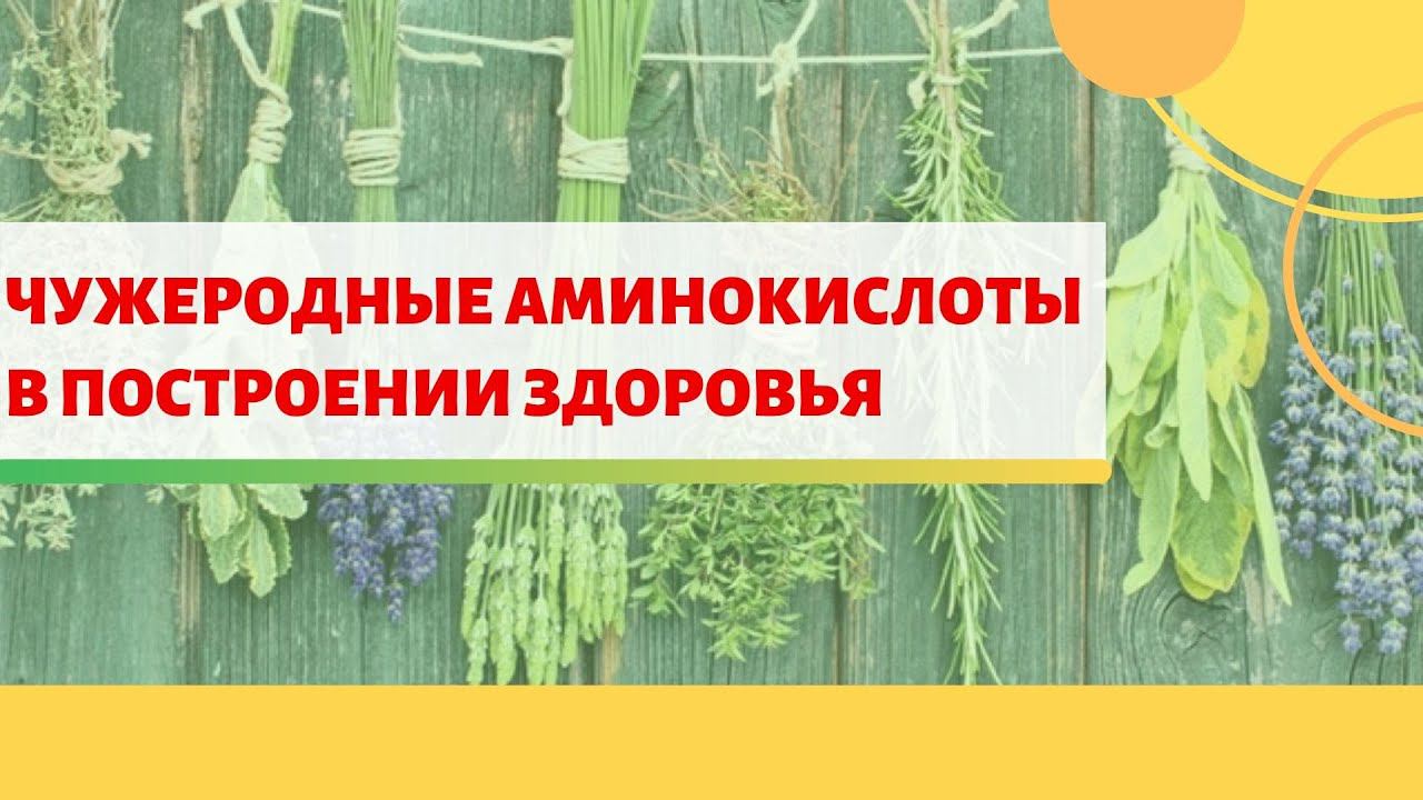 Как Правильно ПОСТРОИТЬ Своё Здоровье? Способы Уменьшения Воздействия КРИЗОВ ОЧИЩЕНИЯ