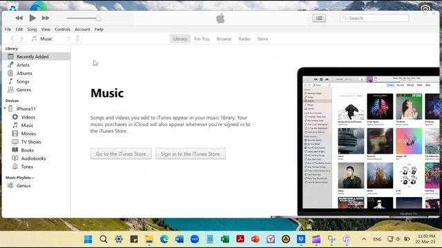 delete From My Mac Album in iphone with windows 11 (hapus From My Mac di hp iphone di Windows 11)