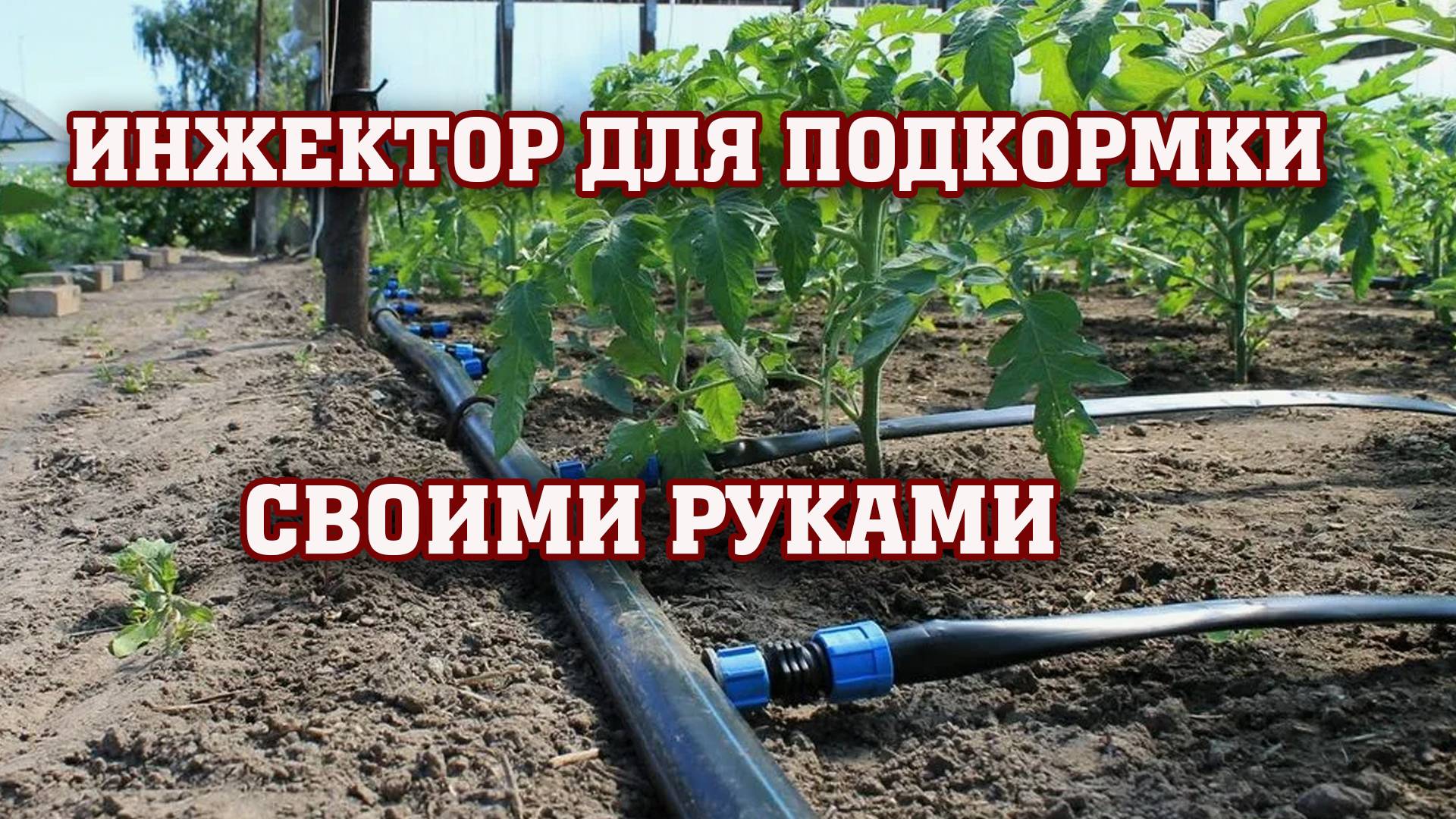 Инжектор для подкормки СВОИМИ РУКАМИ ⧸