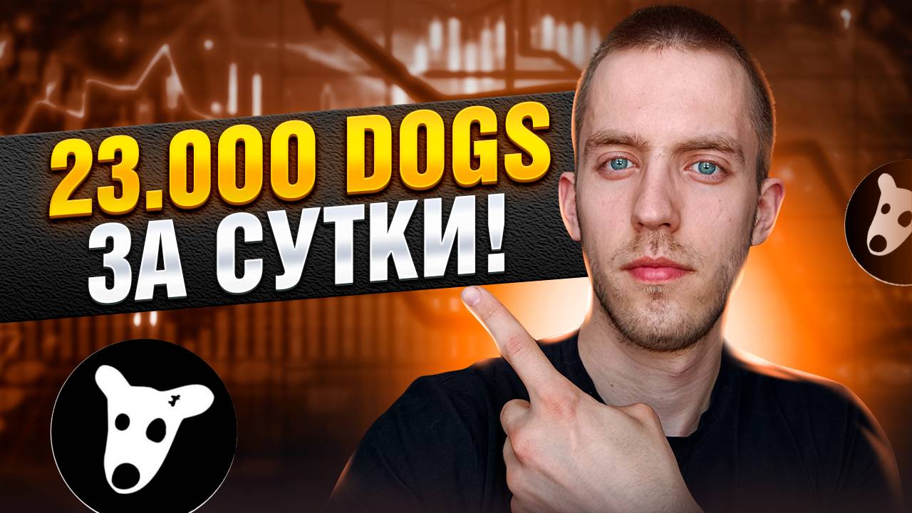 DOGS В ТЕЛЕГРАМ / Как за СУТКИ Я ЗАРАБОТАЛ 23.000 монет DOGS? КАК БОЛЬШЕ ЗАРАБОТАТЬ?
