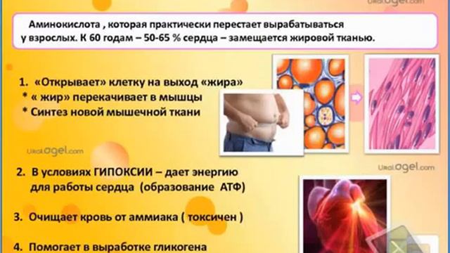 Мария Луговских: Здоровье сердца и сосудов с Agel!