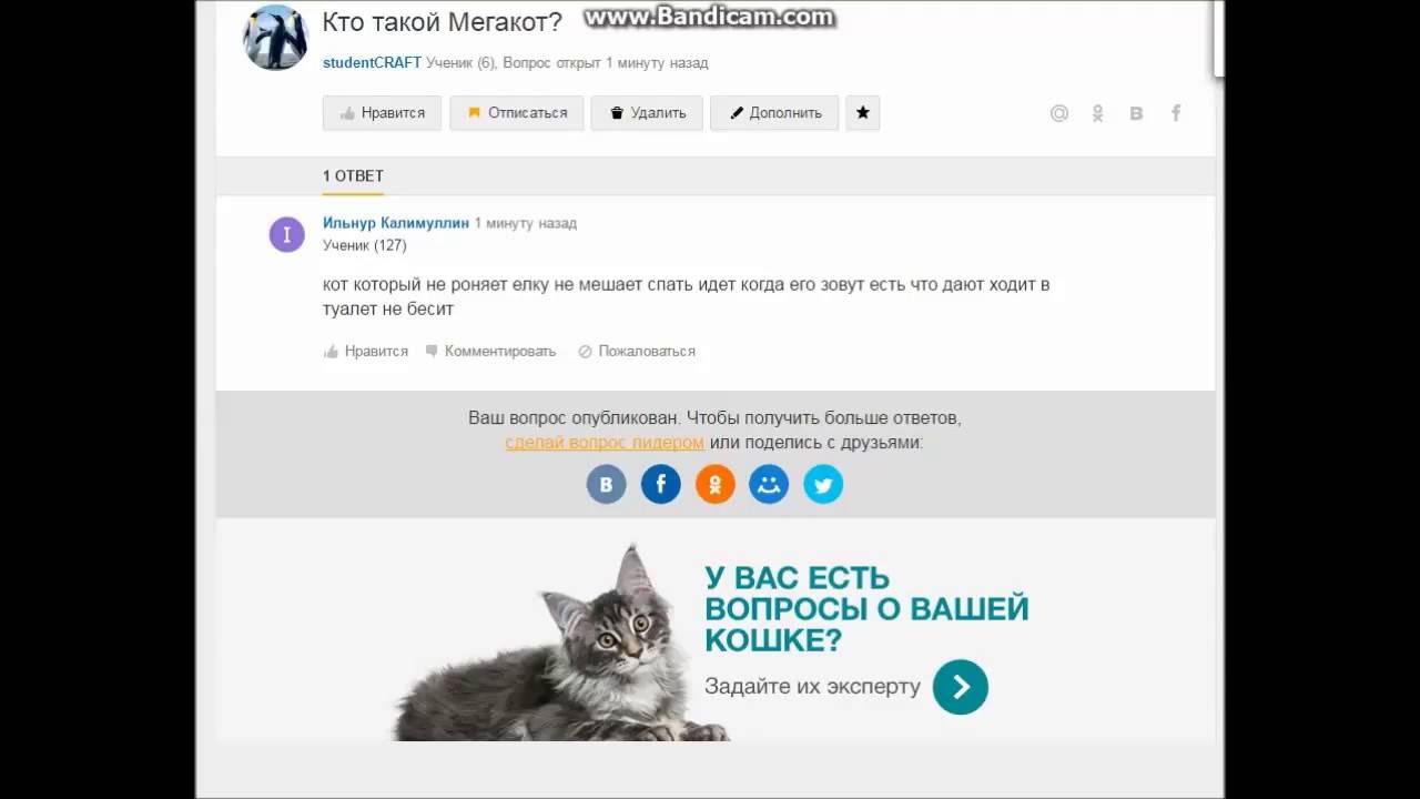 Спросил на Ответах Mail.Ru про себя