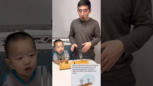 Акустикалық резонанс. Жаңғырық.