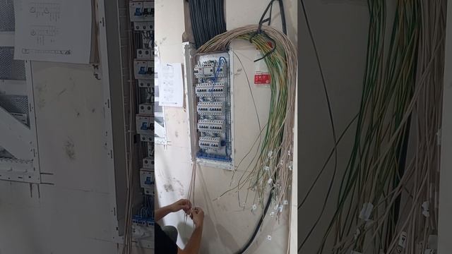 КАК подключить ЭЛЕКТРОЩИТ