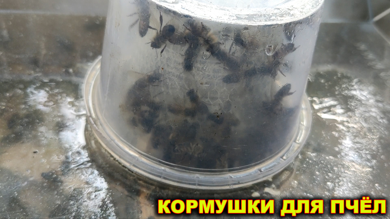 Кормушки для пчёл.