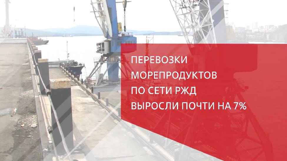 Перевозки морепродуктов РЖД выросли на 7%