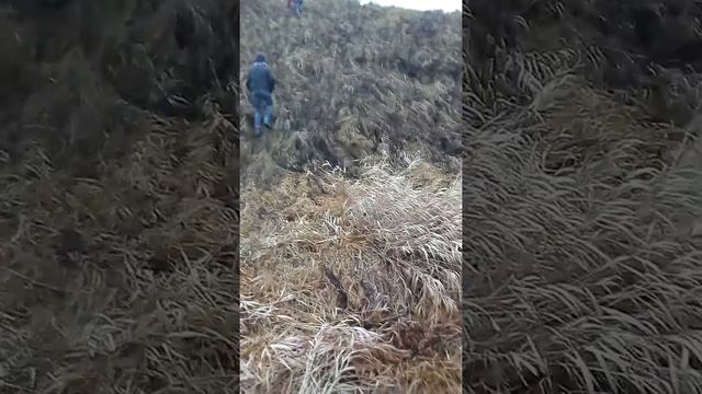 Как мы падали с горы