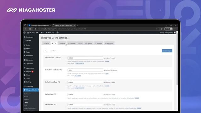 Panduan LiteSpeed Cache Terbaru 2023 [TERUPDATE]