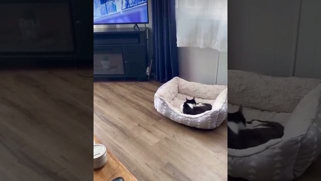 Жизнь полна несправедливости...