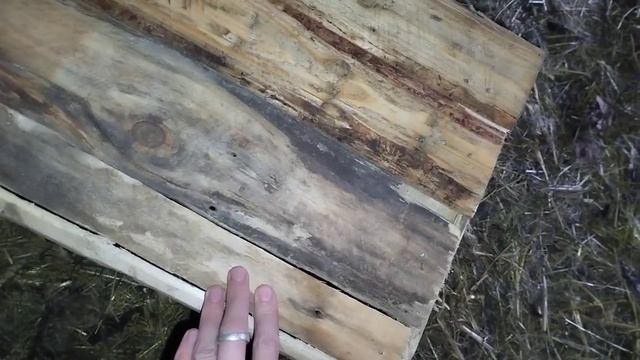 Маточник для кроликов! Обзор на маточник?Канал для КРОЛИКОВОДОВ