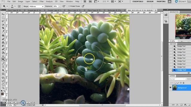 Editing with the Dodge Burn  Sponge Tool