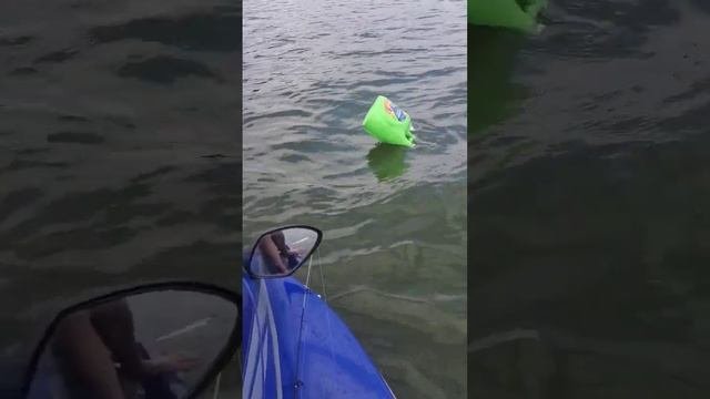 Jugline, Wonder What's On It! #waverunner #juglines #jetski #seadoo #fishingvideo #fishing #crypto